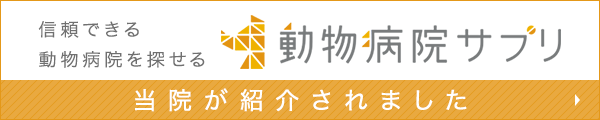 当院が紹介されました！